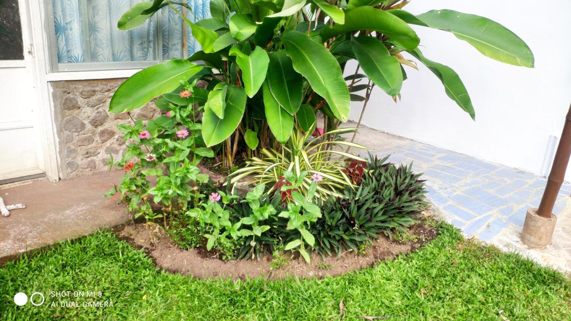 Sun House Rental Mambajao Exterior foto